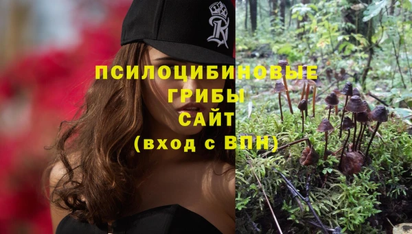 круглые Краснослободск