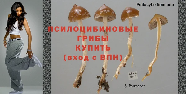 круглые Краснослободск