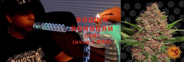 ПСИЛОЦИБИНОВЫЕ ГРИБЫ Краснотурьинск