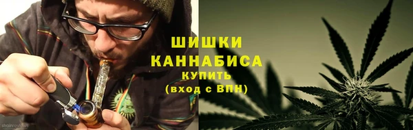 ПСИЛОЦИБИНОВЫЕ ГРИБЫ Краснотурьинск