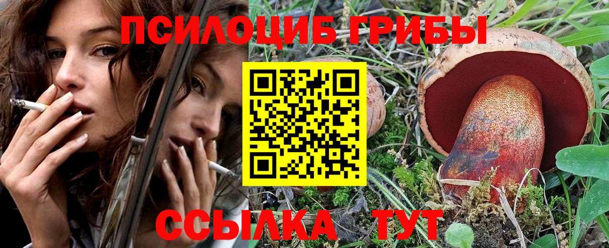 Лосино-Петровский  Галлюциногенные грибы мицелий  Псилоцибиновые грибы прущие грибы  Вход с VPN 